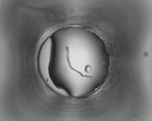 X0000094430293200711291539