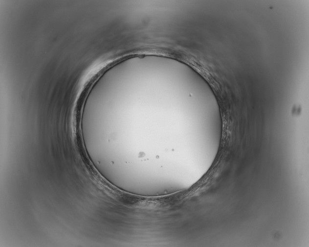 X0000094430294200711291539