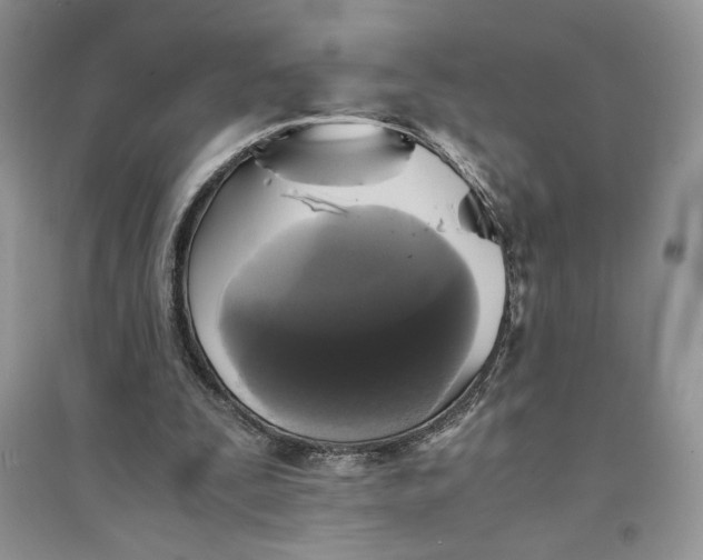 X0000094430295200711291539