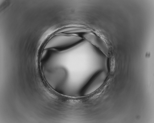 X0000094430296200711291539