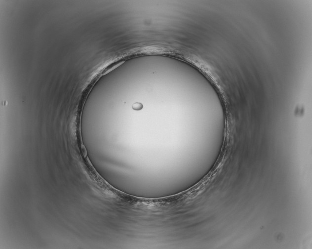 X0000094430297200711291539