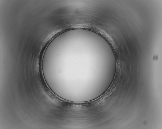 X0000094430298200711291539