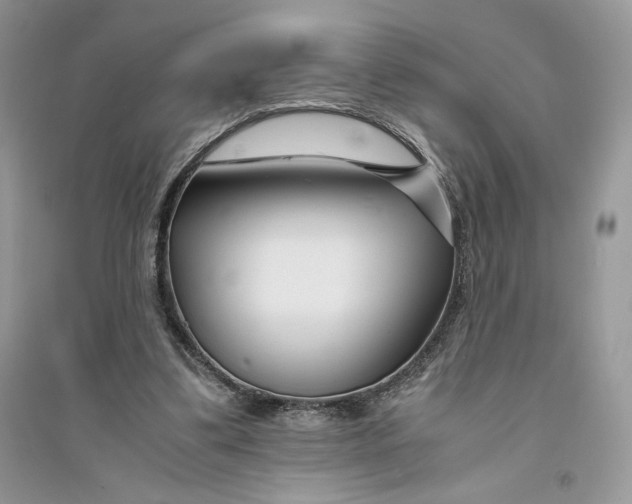 X0000094430299200711291539