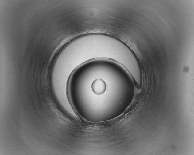 X0000094430300200711291539