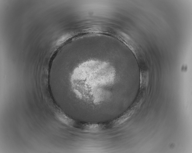 X0000094430301200711291539