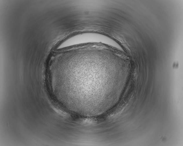 X0000094430303200711291539