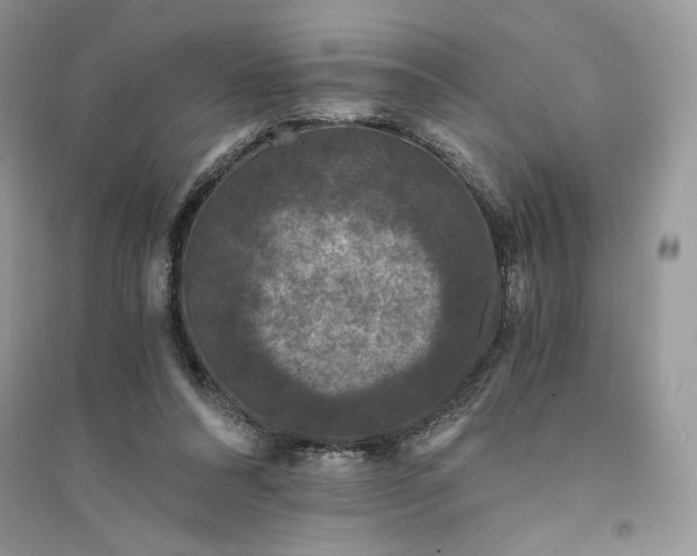 X0000094430304200711291539