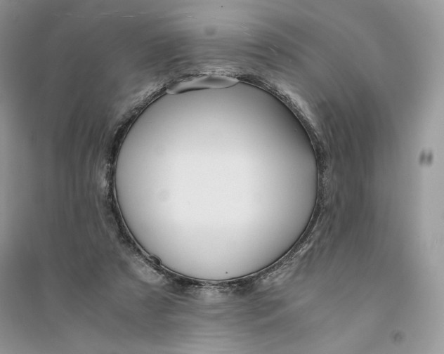 X0000094430305200711291539