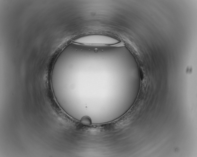 X0000094430306200711291539