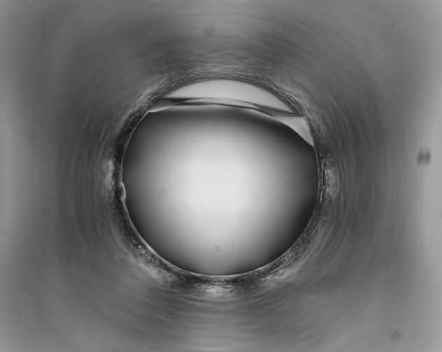 X0000094430308200711291539