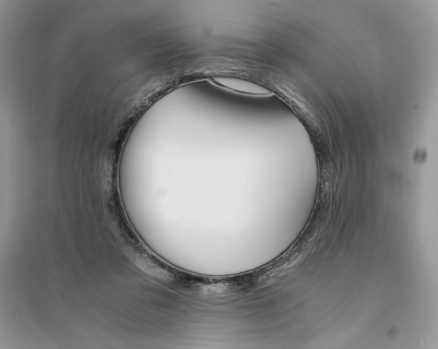 X0000094430309200711291539