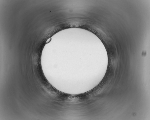 X0000094430311200711291539