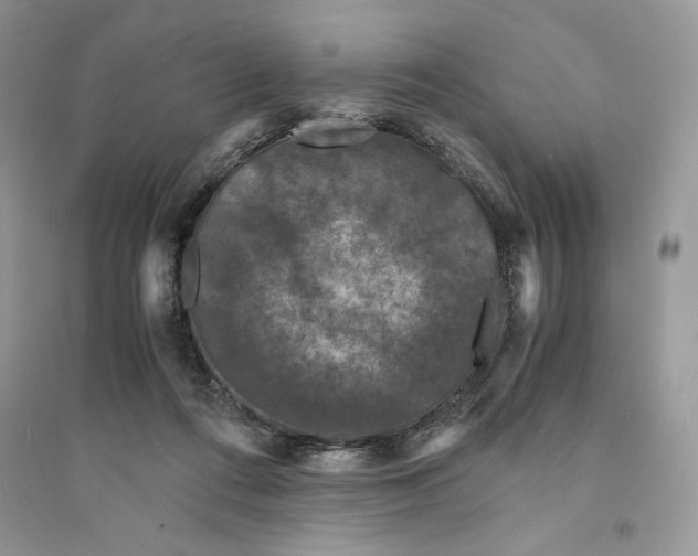 X0000094430312200711291539