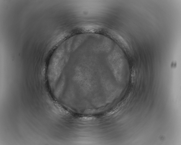 X0000094430314200711291539