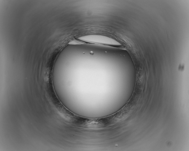 X0000094430315200711291539