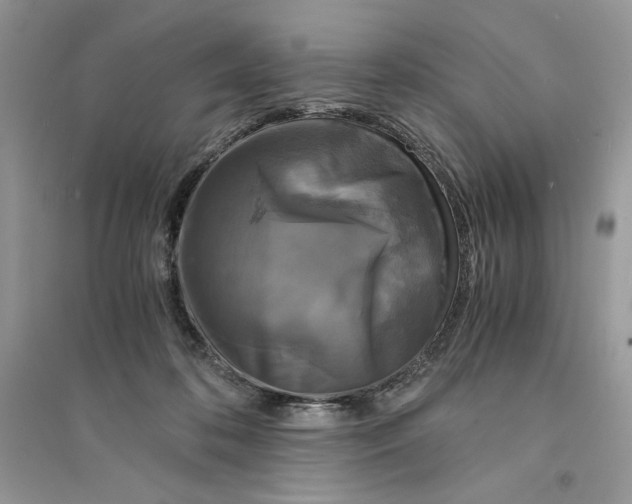 X0000094430316200711291539