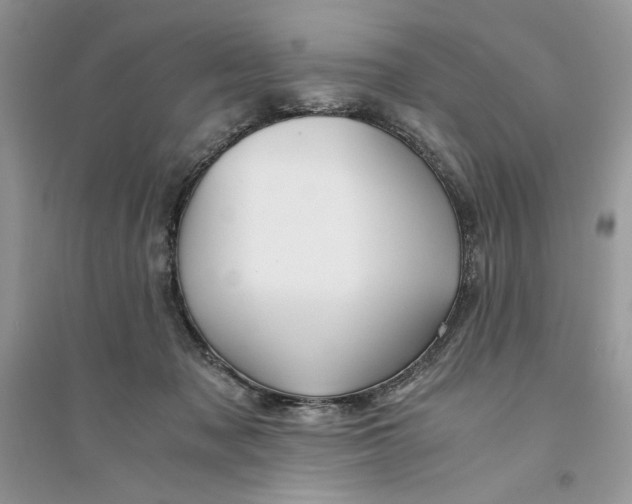 X0000094430317200711291539