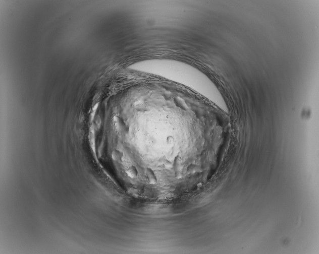 X0000094430319200711291539