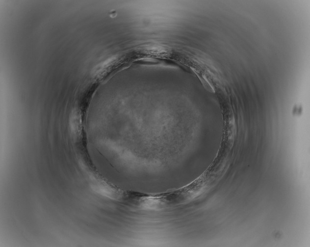 X0000094430320200711291539