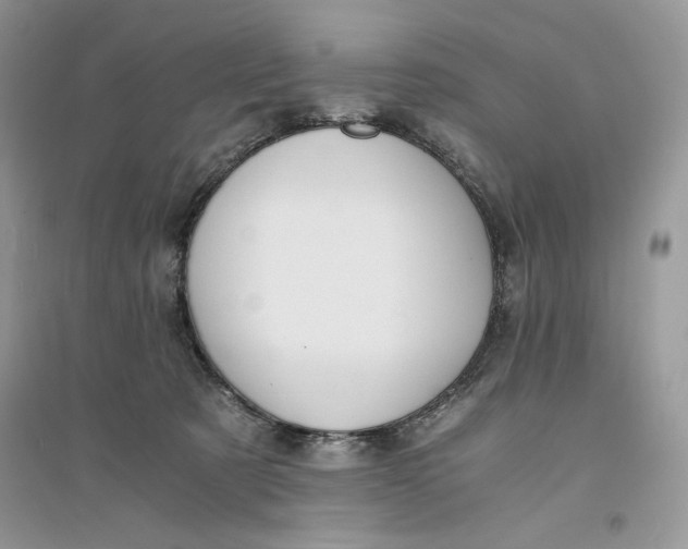 X0000094430321200711291539