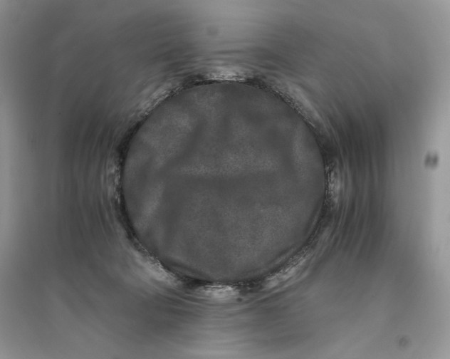 X0000094430322200711291539