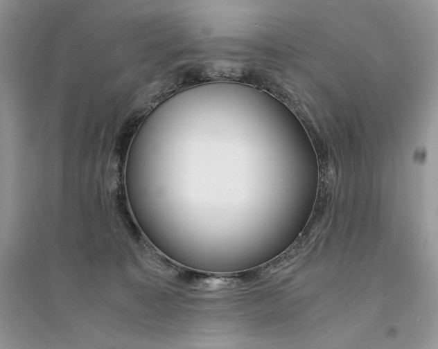 X0000094430323200711291539