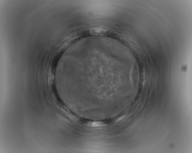 X0000094430324200711291539