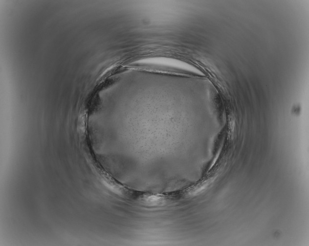 X0000094430325200711291539