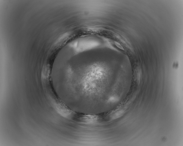 X0000094430328200711291538