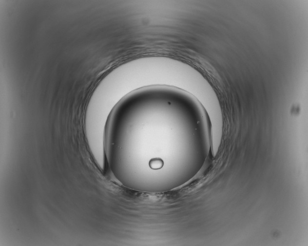 X0000094430329200711291538