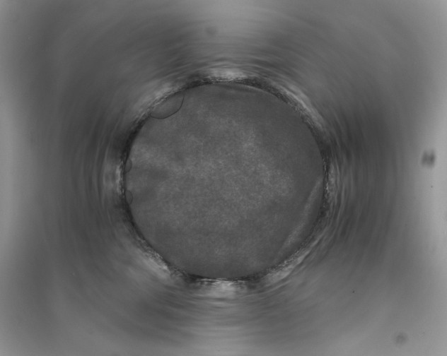 X0000094430330200711291538