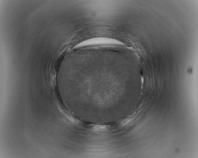 X0000094430332200711291538