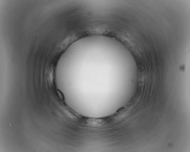 X0000094430334200711291538