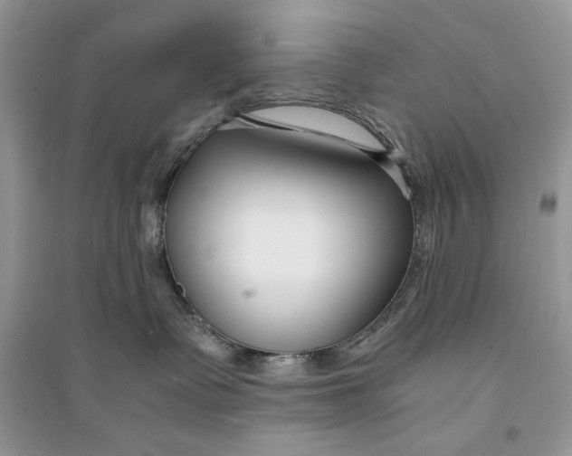 X0000094430335200711291538