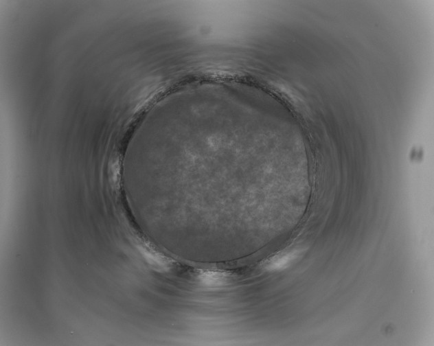 X0000094430336200711291538