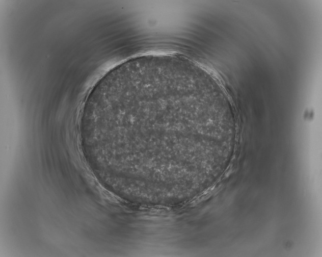 X0000094430337200711291538