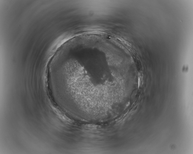 X0000094430339200711291538