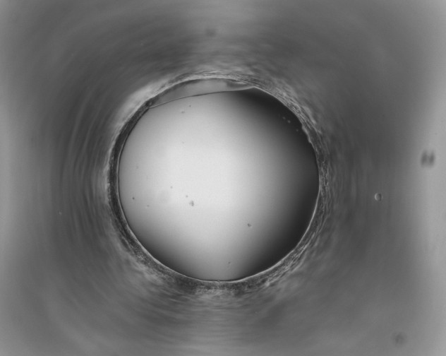 X0000094430340200711291538