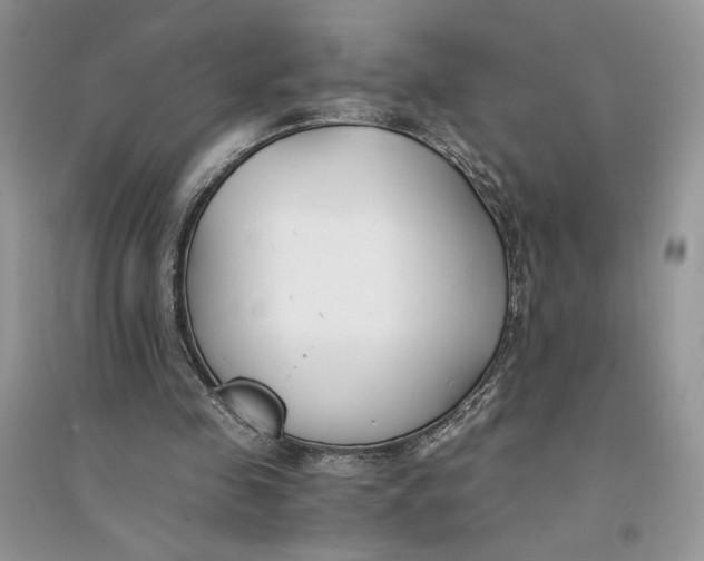 X0000094430341200711291538