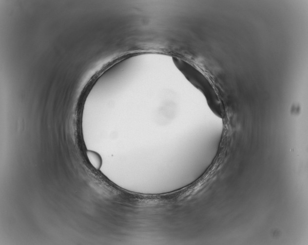 X0000094430342200711291538