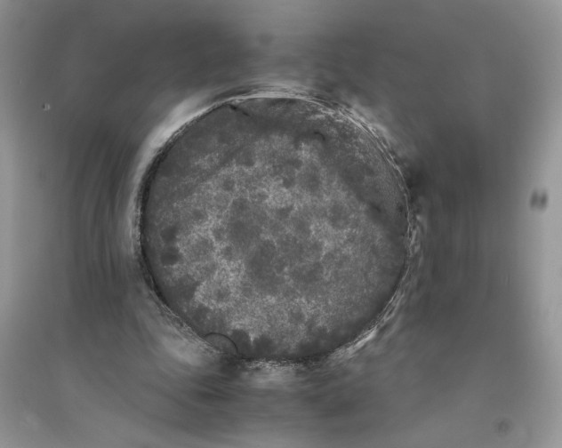 X0000094430343200711291538