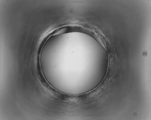 X0000094430344200711291538