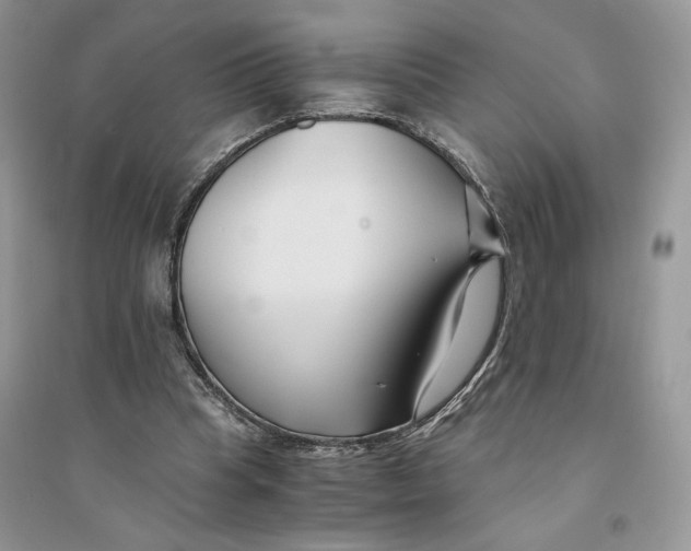 X0000094430345200711291538