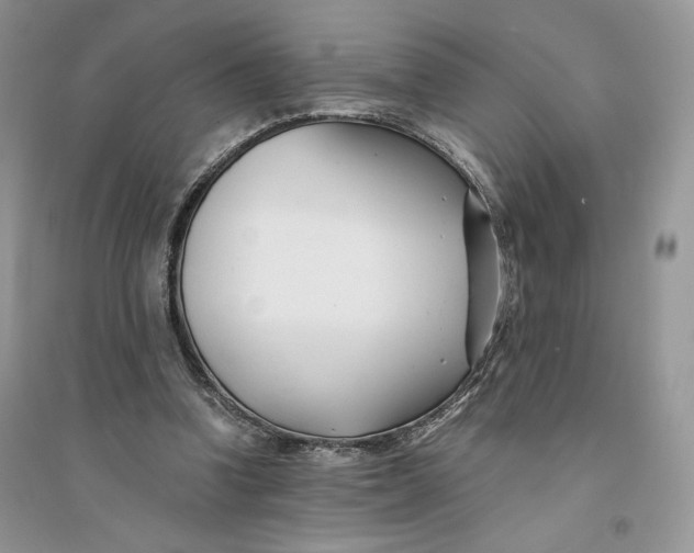 X0000094430346200711291538