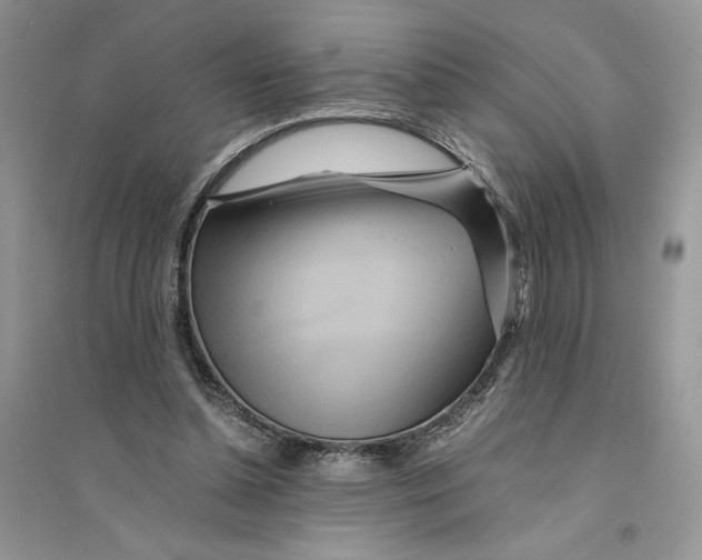 X0000094430348200711291538