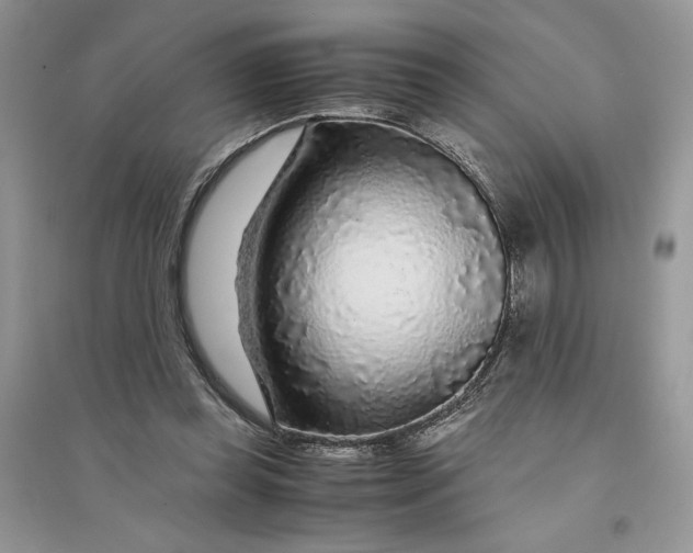 X0000094430349200711291538