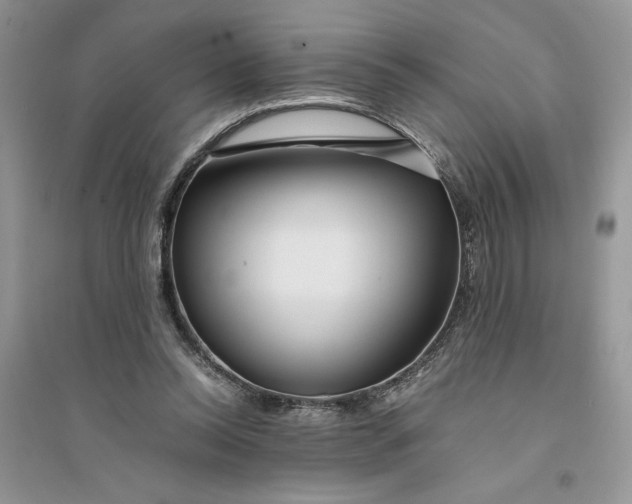 X0000094430350200711291538