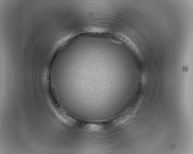 X0000094430352200711291538