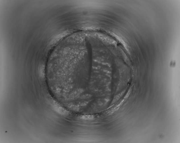 X0000094430353200711291538