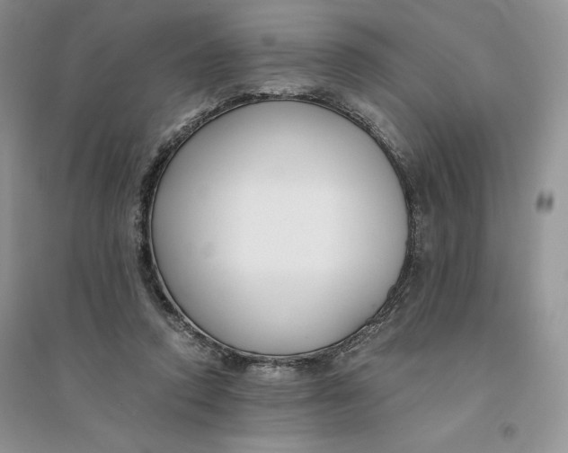 X0000094430354200711291538